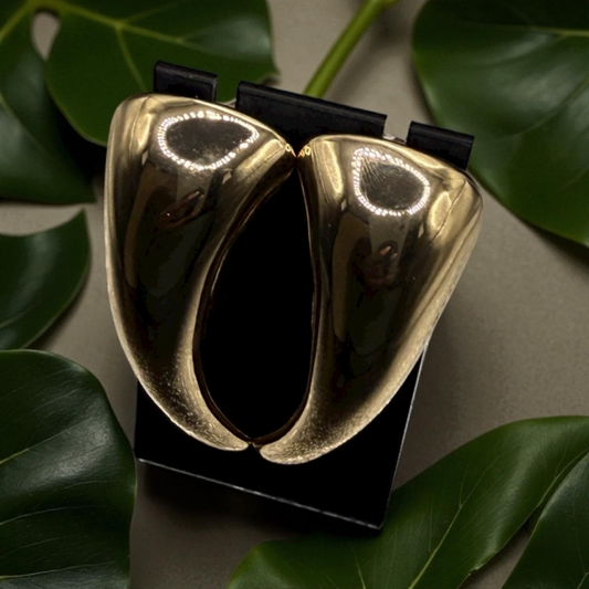 Baby shark tooth earrings