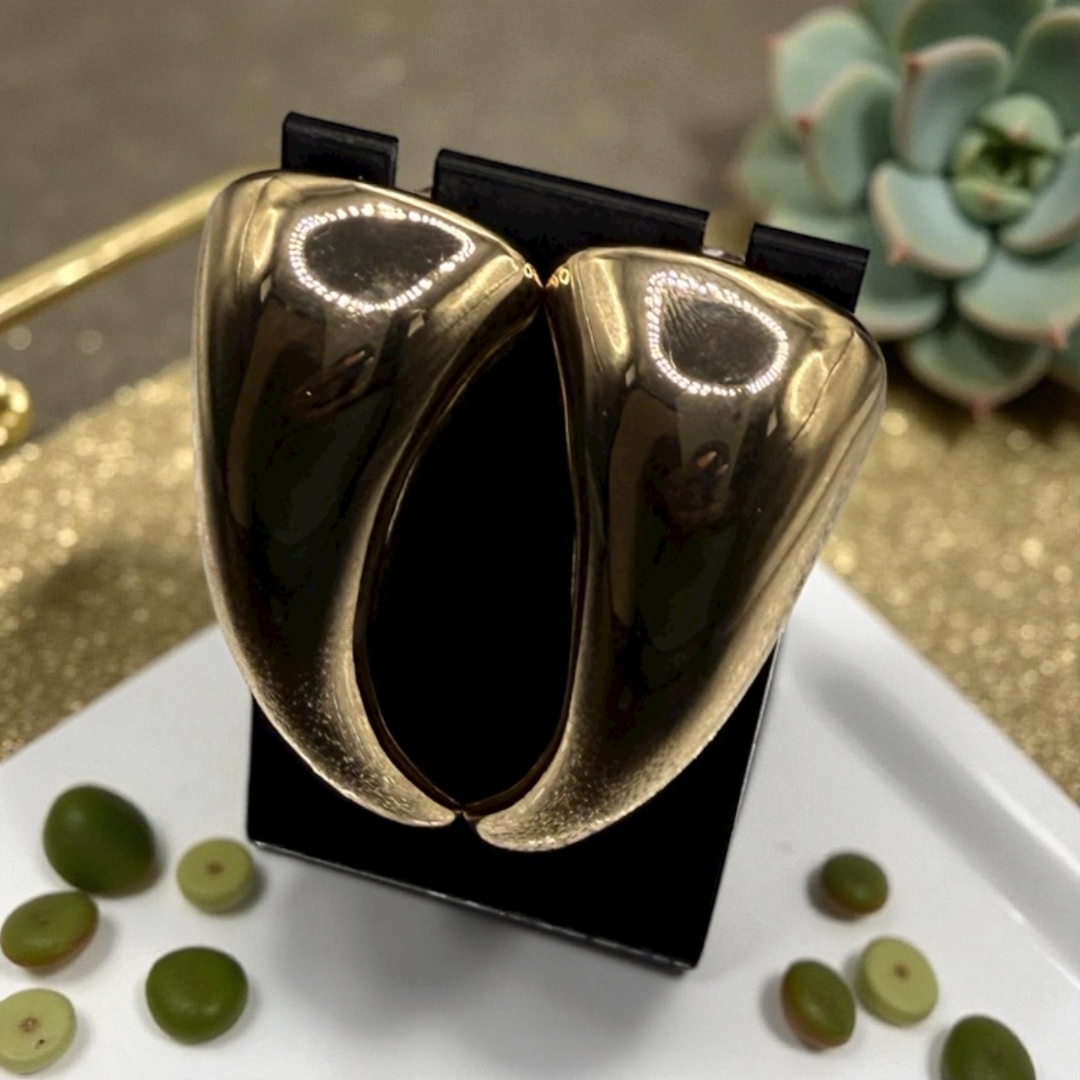 Baby shark tooth earrings